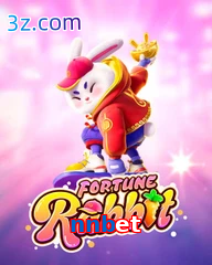 nnbet