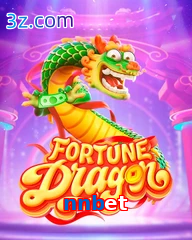 nnbet